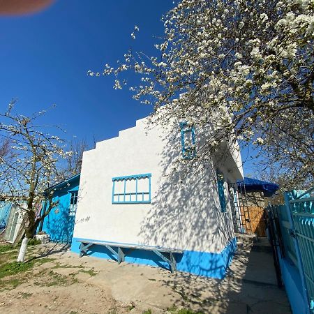Вілла Casa Bunicilor Granny'S House Журіловка Екстер'єр фото