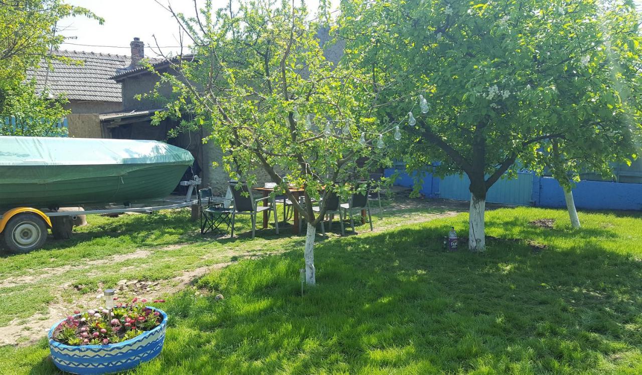 Вілла Casa Bunicilor Granny'S House Журіловка Екстер'єр фото