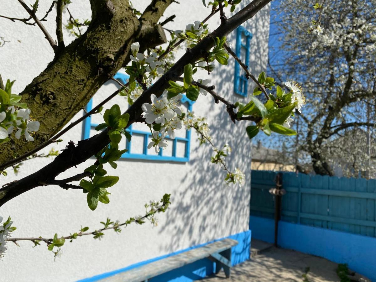 Вілла Casa Bunicilor Granny'S House Журіловка Екстер'єр фото
