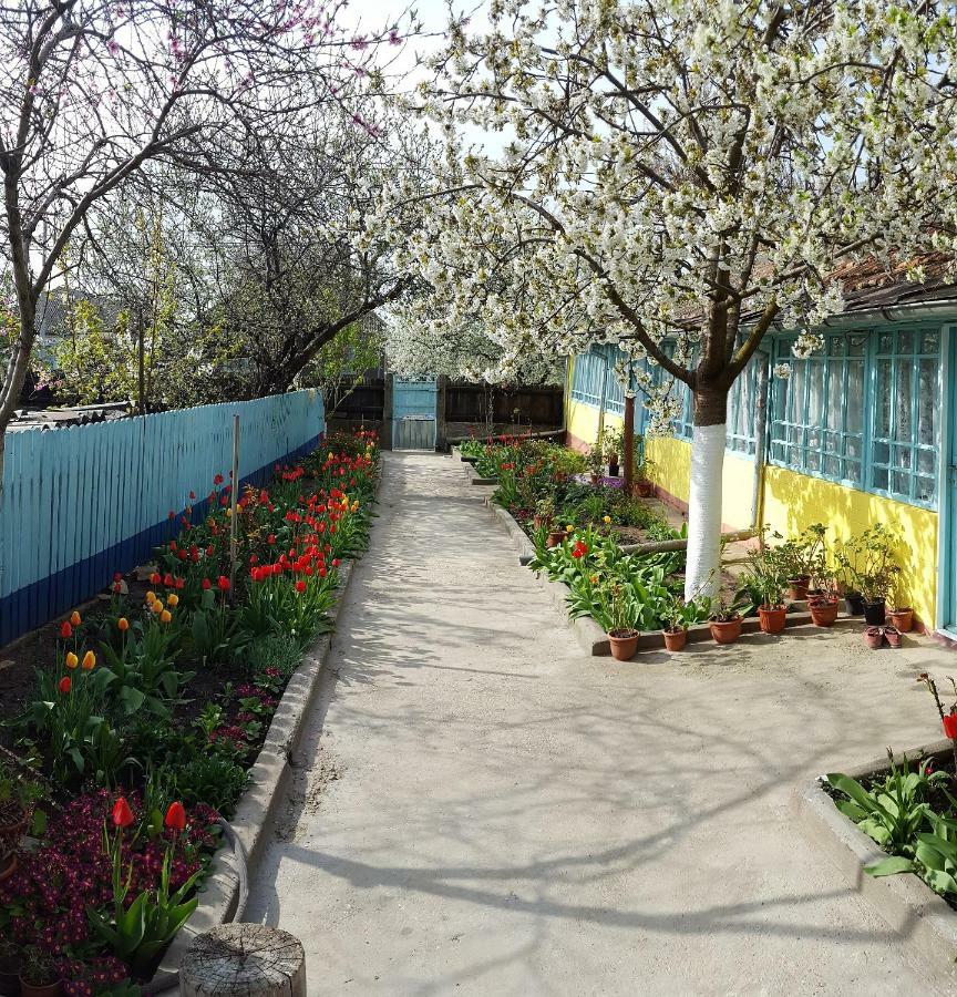 Вілла Casa Bunicilor Granny'S House Журіловка Екстер'єр фото