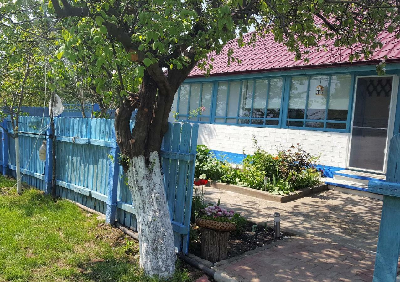 Вілла Casa Bunicilor Granny'S House Журіловка Екстер'єр фото