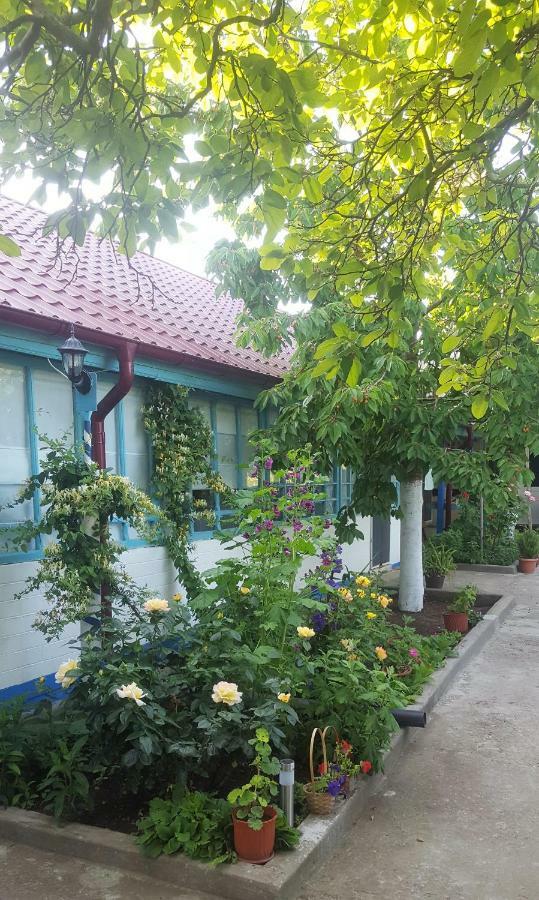 Вілла Casa Bunicilor Granny'S House Журіловка Екстер'єр фото