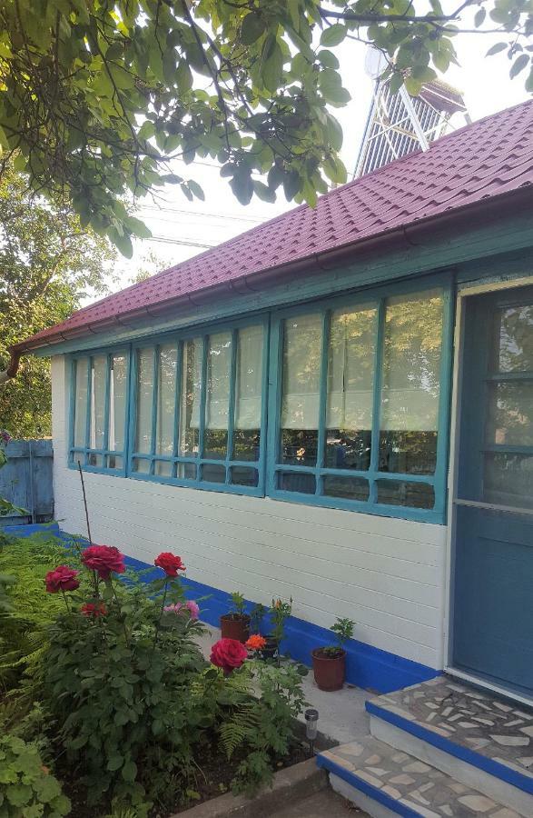 Вілла Casa Bunicilor Granny'S House Журіловка Екстер'єр фото